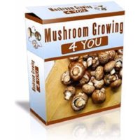 Mushroom Growing 4 You