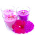 Candle Making Classes Missouri