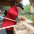 Carpentry Schools & Beginner Woodworking Classes Nevada