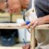 Carpentry Schools & Beginner Woodworking Classes Richmond, BC