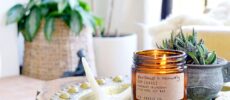 Hand Poured Candle & Scent Blending Workshop